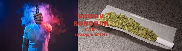 ГАЛЛЮЦИНОГЕННЫЕ ГРИБЫ Арсеньев