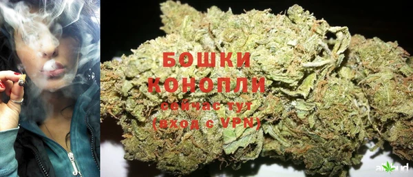 ГАЛЛЮЦИНОГЕННЫЕ ГРИБЫ Арсеньев