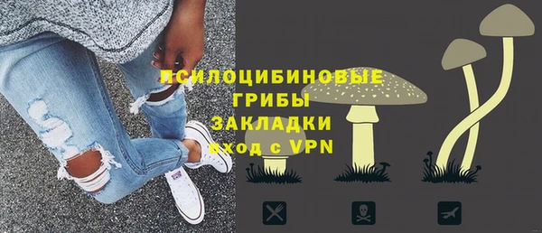 ГАЛЛЮЦИНОГЕННЫЕ ГРИБЫ Арсеньев