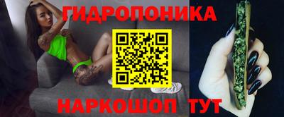 прущие крисы Кандалакша