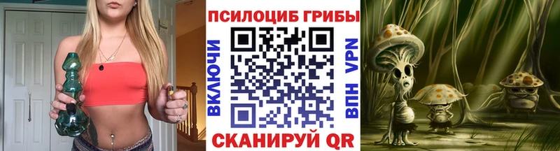 Псилоцибиновые грибы GOLDEN TEACHER blacksprut ТОР дарк нет как зайти Лениногорск